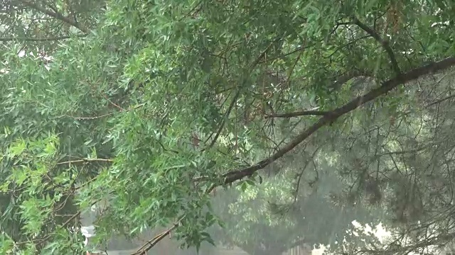 狂风骤雨，暴雨，冰雹充斥着科罗拉多州丹佛市的街道