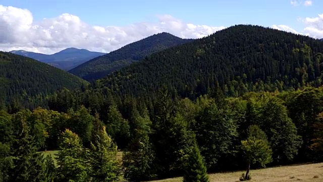 鸟瞰图喀尔巴阡山脉在夏天。喀尔巴阡自然，高山湖泊。鸟瞰图Synevir湖，乌克兰