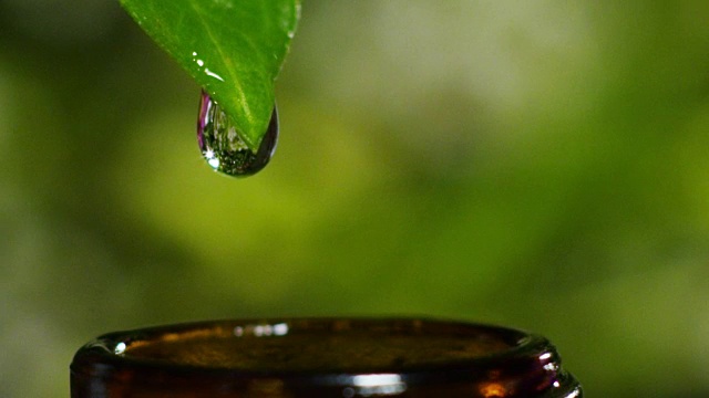 混合精油与水滴，香味和芳香的芳香疗法为健康和水疗。美丽的理念。芳香精油。精华液从树叶上滴入健康中心的泳池