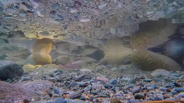 水下河床清澈的水河流岩石