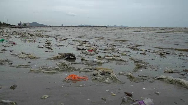 非常受污染的海滩