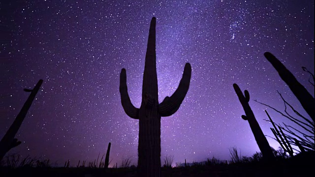 亚利桑那州索诺拉沙漠中一棵撒瓜罗仙人掌的天文时间流逝