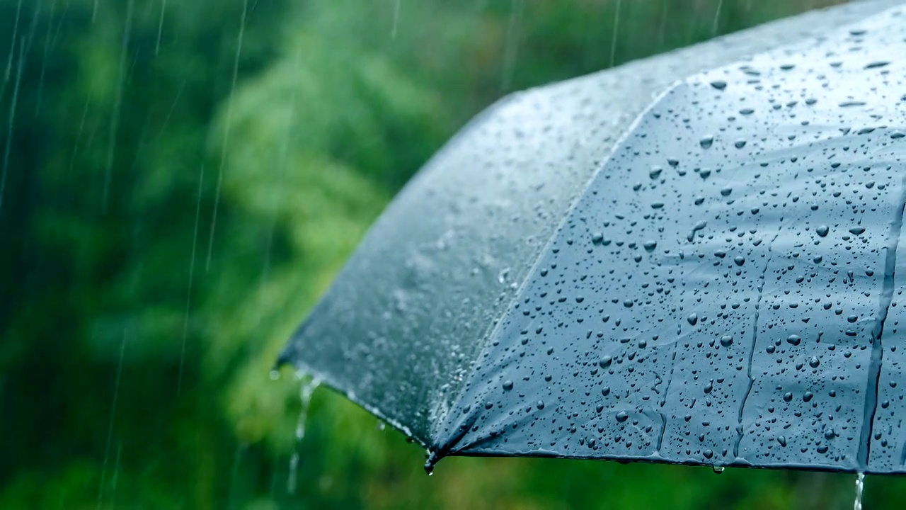 雨落在伞上