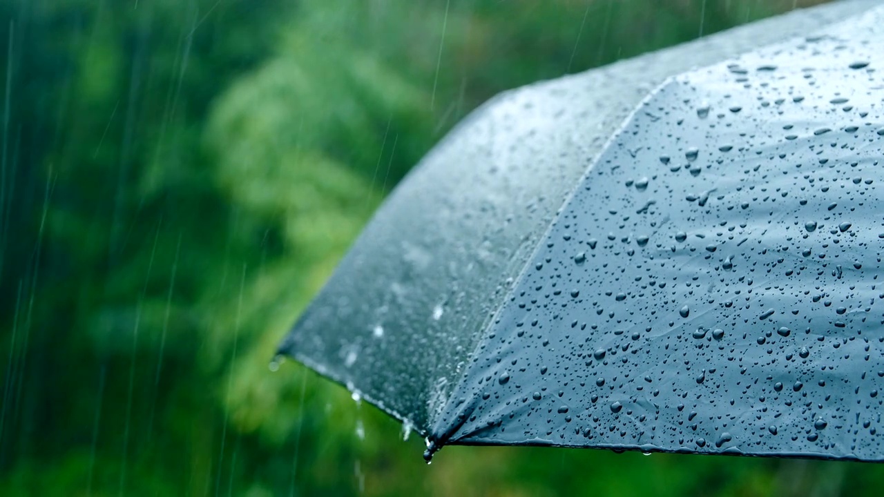 详情图-雨落在伞上