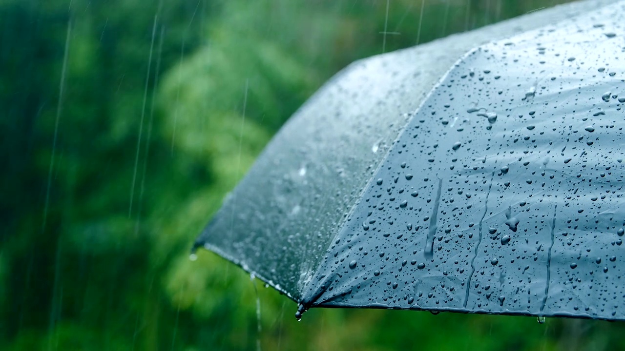 详情图-雨落在伞上