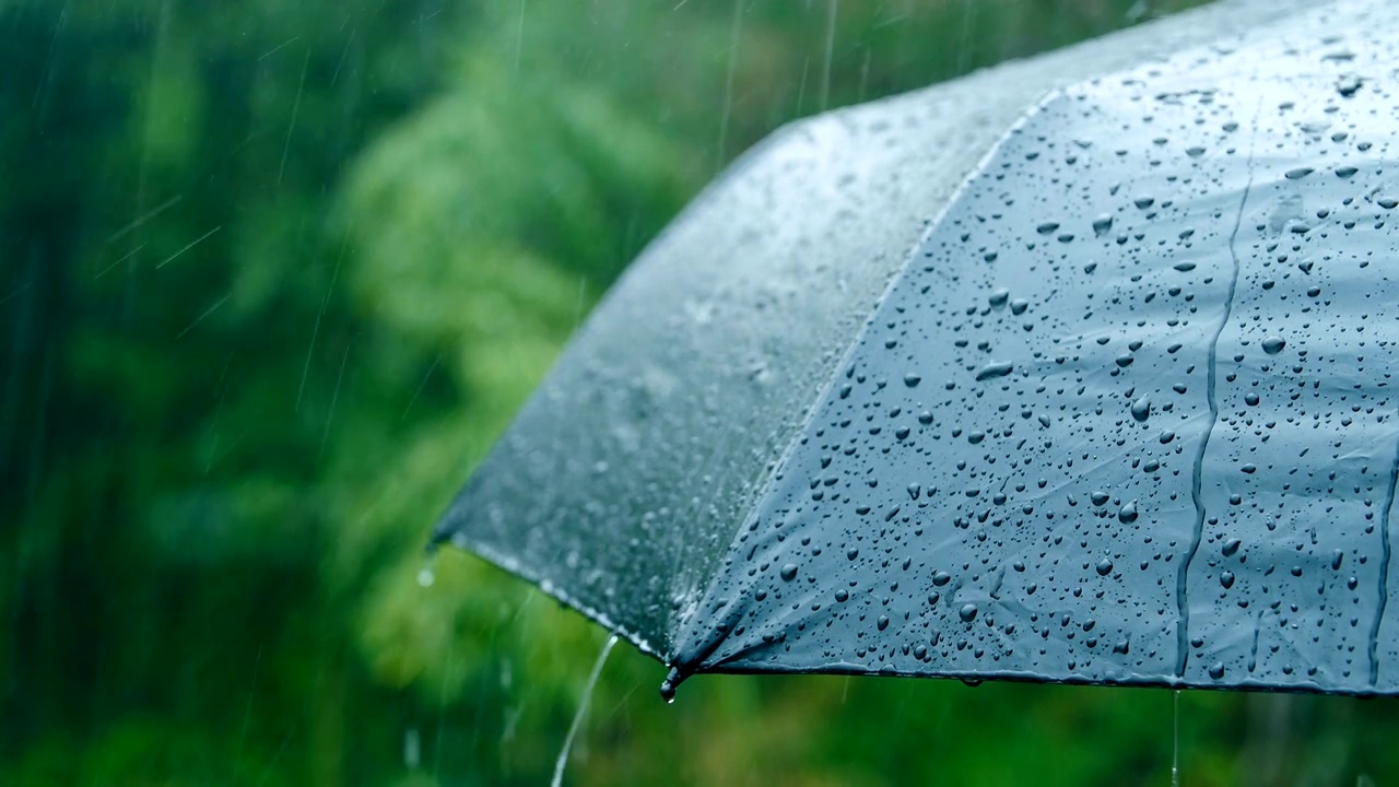 详情图-雨落在伞上