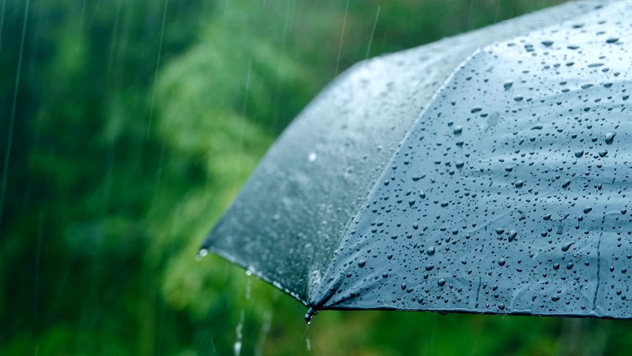 详情图-雨落在伞上