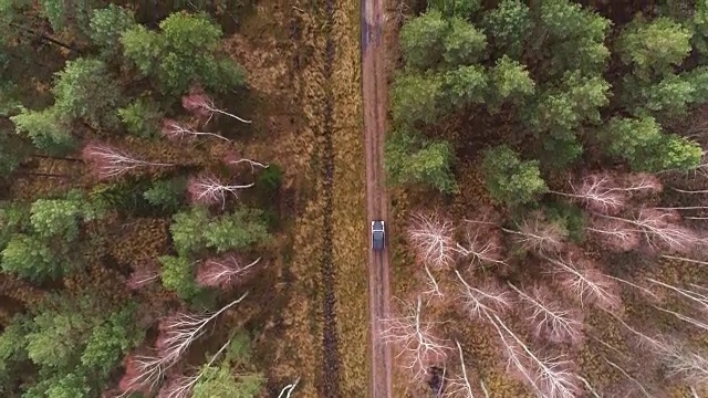 空中拍摄的4x4汽车在森林