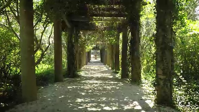 花园隧道(共2条)