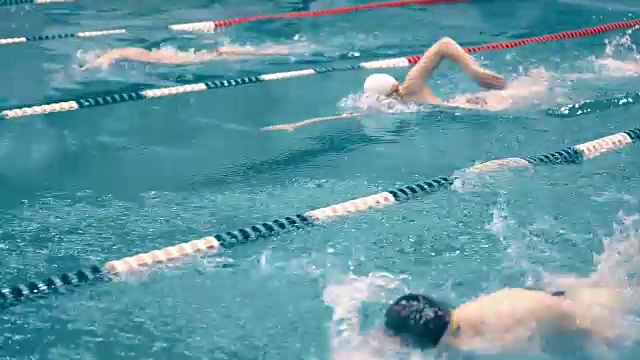 高角度三名游泳运动员在游泳池跟踪射击比赛