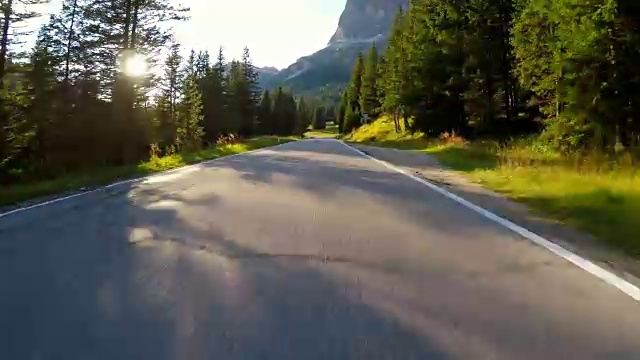 在夕阳西下的森林中行驶在蜿蜒的道路上