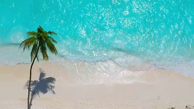 鳥瞰圖的夢想海灘與棕櫚樹和藍(lán)綠色的海洋