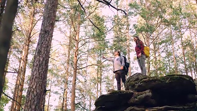 兴奋的年轻游客站在山顶，挥舞着双手，呼喊着表达喜悦和庆祝成就。友谊与自然的概念。