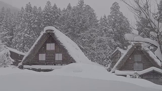 白川乡(Shirakawa-go)的传统茅草屋位于日本岐阜县(Gifu)、石川县(Ishikawa)和富山县(Toyama)附近的雪山中