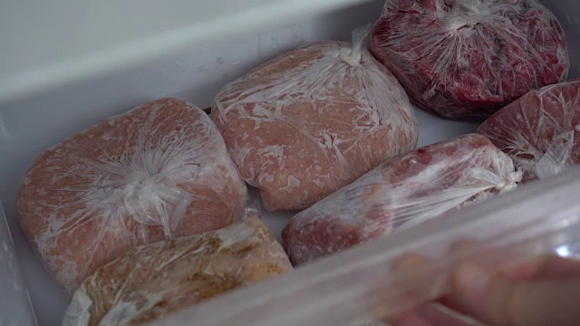 一个冰箱。储存和冷冻肉类