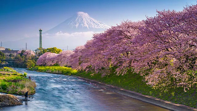 春天的日本富士山