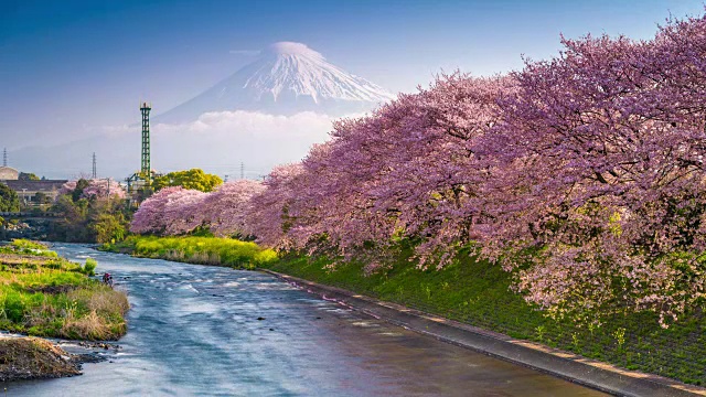 詳情圖-春天的日本富士山