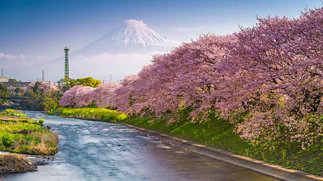 詳情圖-春天的日本富士山