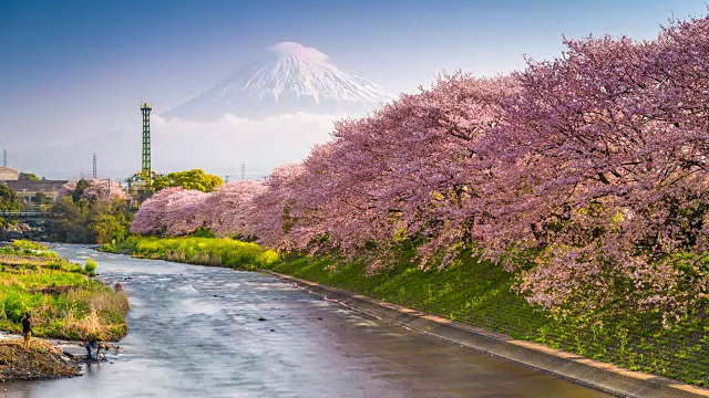 詳情圖-春天的日本富士山