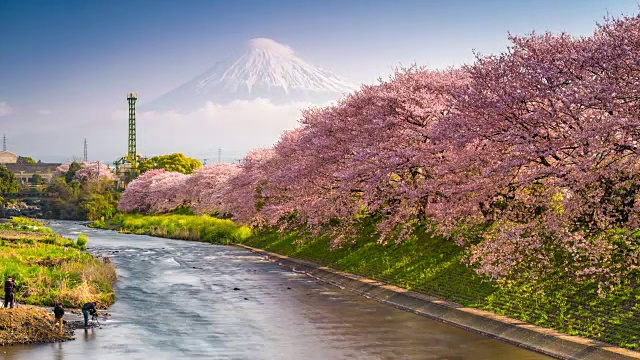 詳情圖-春天的日本富士山
