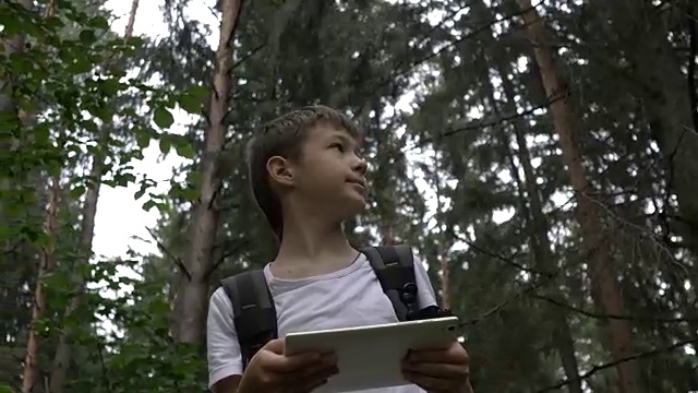 男孩旅行者在森林里用平板电脑，通过导航员检查路线