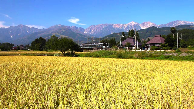 日本的风景