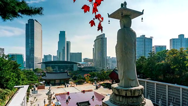在韩国首尔的江南区，秋日的奉子寺，大佛和红色枫叶的背面时间流逝。