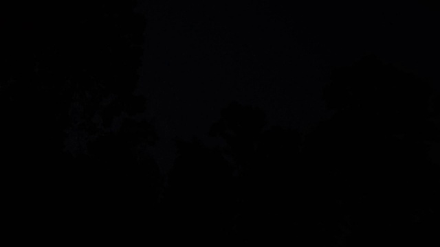 黑夜里的森林和雷电交加的暴风雨
