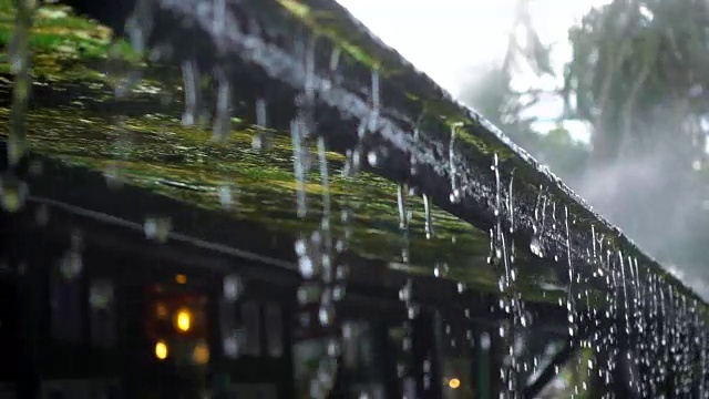 SLO MO水雨滴從青苔屋頂與霧