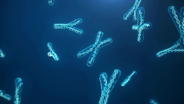 详情图-蓝色背景上的X和Y染色体。显微镜下带有DNA螺旋的染色体。人类染色体。说明X和Y染色体。编码的遗传密码。