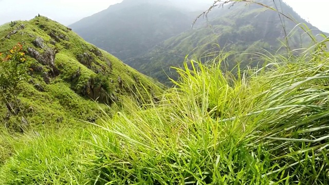 在小亚当峰的狭窄小径旁——斯里兰卡埃拉镇的热门景点。慢镜头风景如画的山脉镜头。