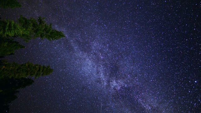 在森林树木上方旋转的银河星群流星雨(延时)