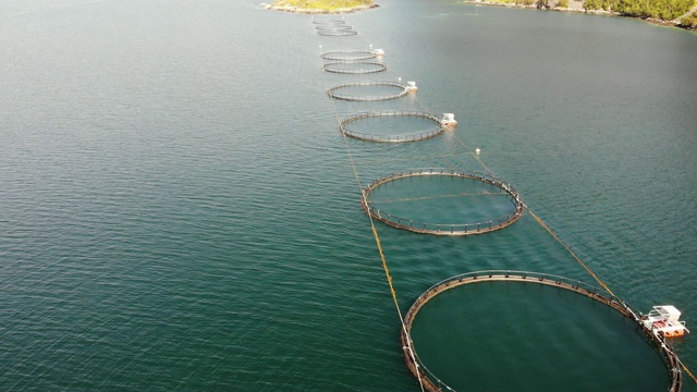 詳情圖-鮭魚養(yǎng)殖場，海上養(yǎng)魚場
