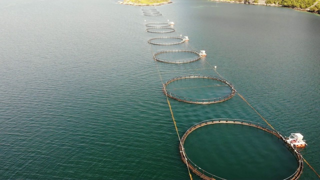 詳情圖-鮭魚養(yǎng)殖場，海上養(yǎng)魚場