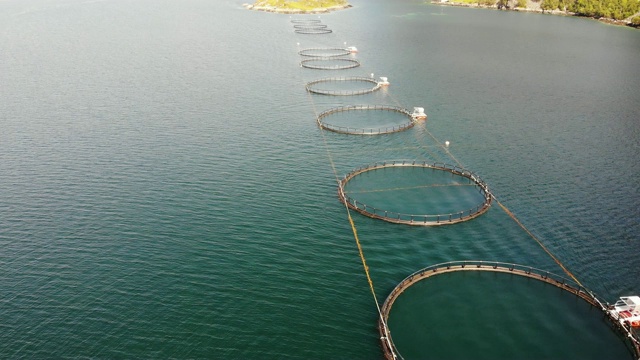 詳情圖-鮭魚養(yǎng)殖場，海上養(yǎng)魚場