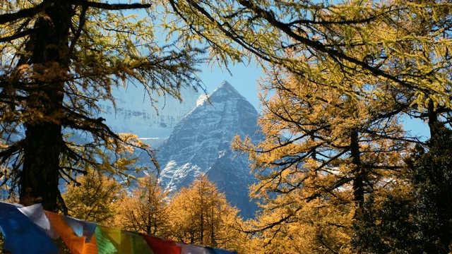 神圣的仙奈日山，五彩的经幡飘扬在亚丁的秋林中