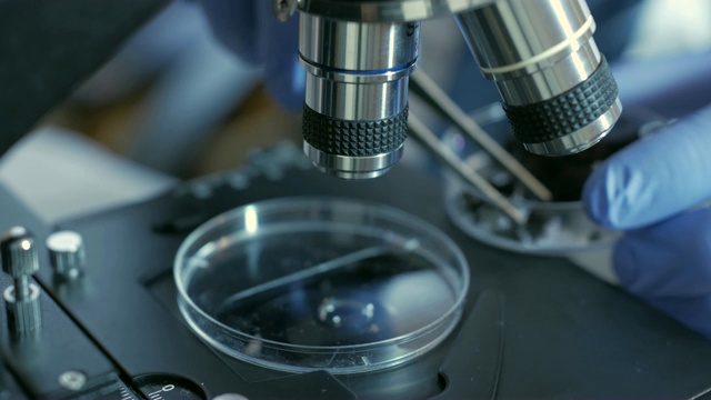 实验室里的科学家通过分析土壤来收集DNA。在实验室进行科学研究的高级男性研究员。分析，dna，生物，微生物学，增强现实