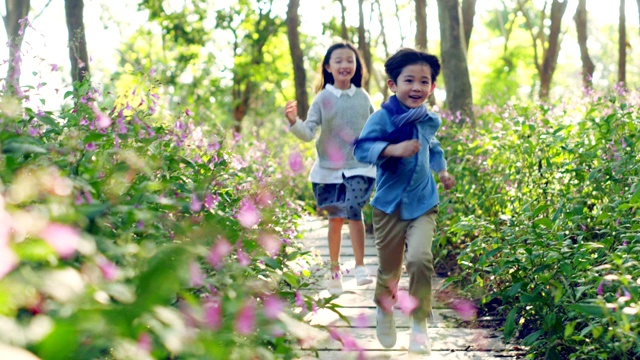 亚洲小孩在花地里奔跑