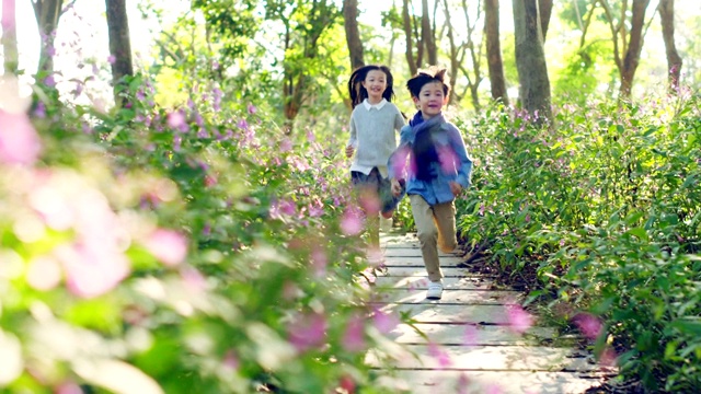 詳情圖-亞洲小孩在花地里奔跑