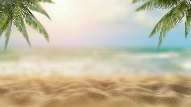 海边的棕榈树。热带及海洋海滩