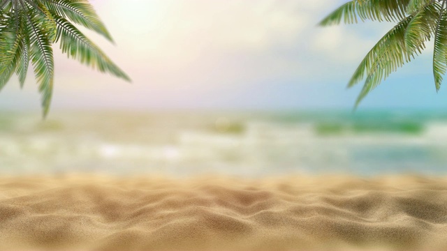 详情图-海边的棕榈树。热带及海洋海滩