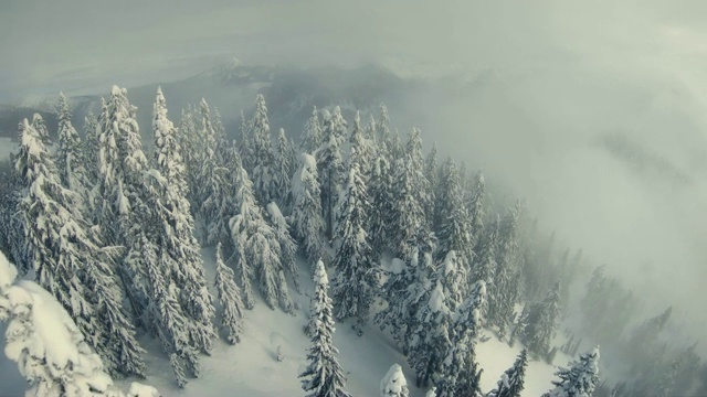 詳情圖-穆迪低地霧云空中雪山森林樹