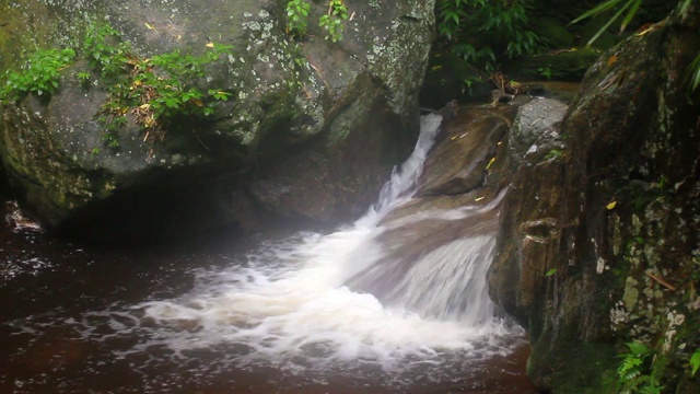 委内瑞拉热带雨林中流动的淡水小溪