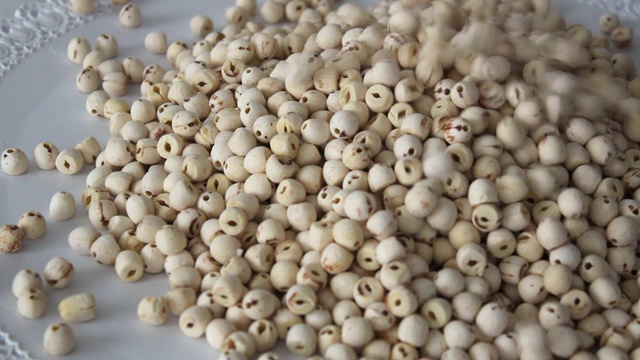 莲子或莲子莲)，种子落在桌子上。用于亚洲烹饪和传统医学。富含蛋白质、B族维生素和食物矿物质。增加你的饮食。视频。
