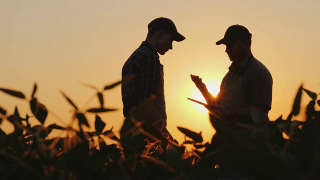两个农民在地里交谈，然后握手。使用平板电脑