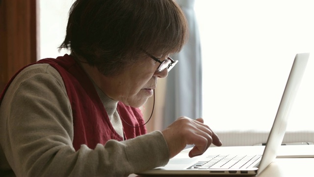 操作个人电脑的女士。