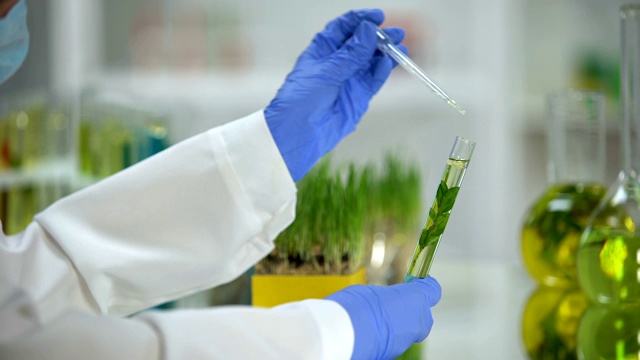 实验室助理将植物、有机美容精华滴入试管中