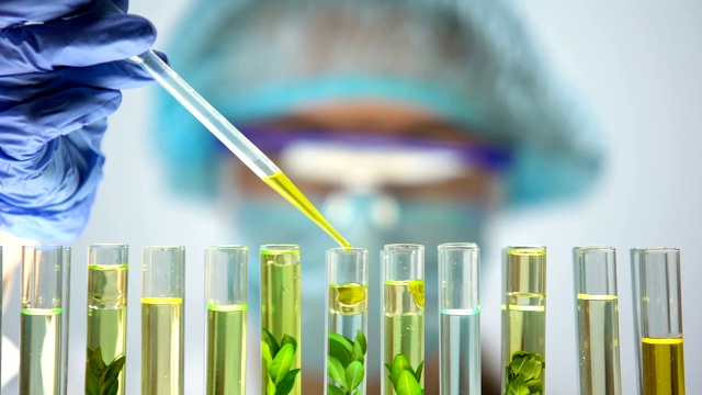 生物化学家用绿色植物将黄色物质滴入试管，提取