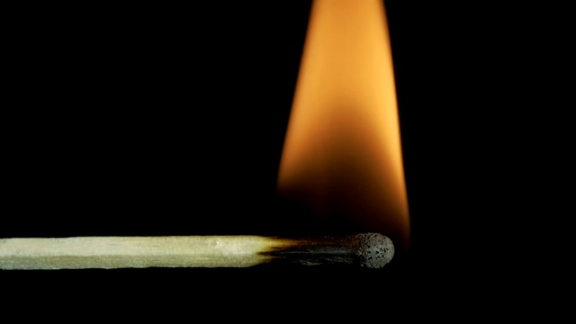 火柴自燃，燃烧，熄灭。燃烧的木头火柴和火焰特写在一个黑色的背景上壮观的燃烧着的火，燃烧到最后留下一个烧焦的木头火柴。特写镜头