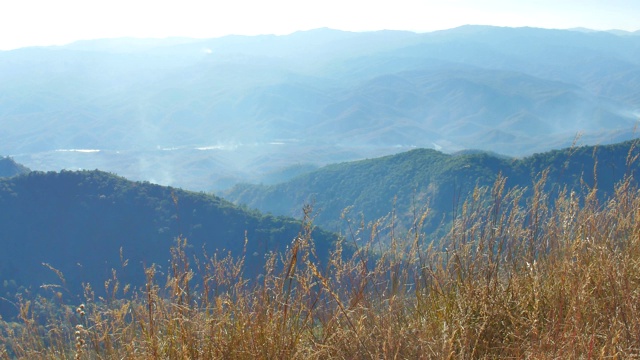 风吹绿草在山上